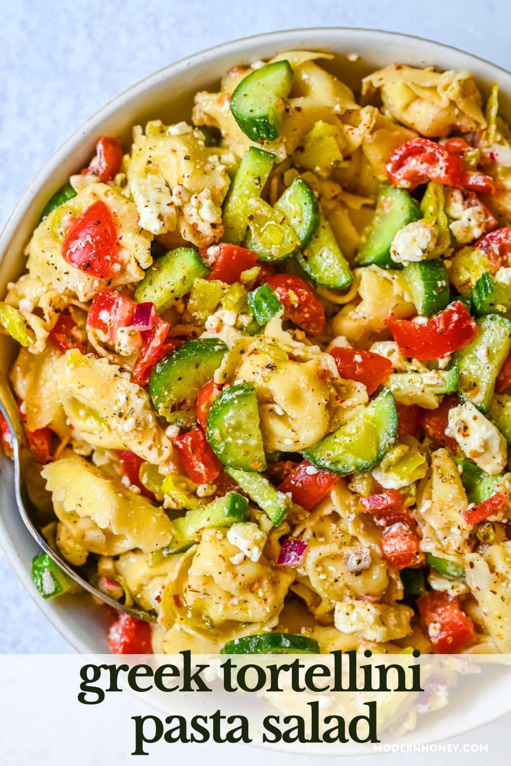 Greek Cheese Tortellini Pasta Salad with fresh tomatoes, cucumbers, red onion, feta cheese, tossed in a tangy homemade Greek dressing. This is such an easy tortellini pasta salad recipe and everyone loves it!